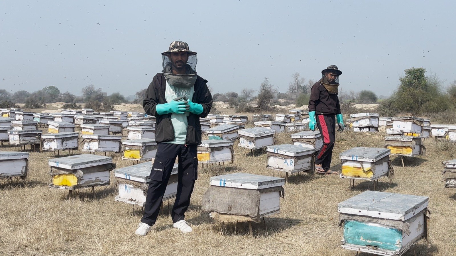 Our Beekeepers